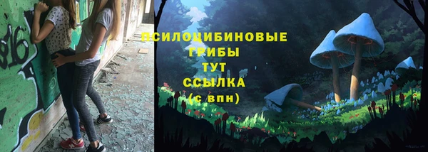 тгк Абдулино