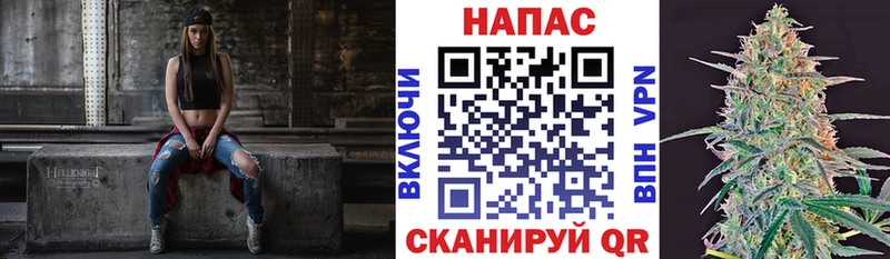 где купить   Дубна  Конопля планчик 